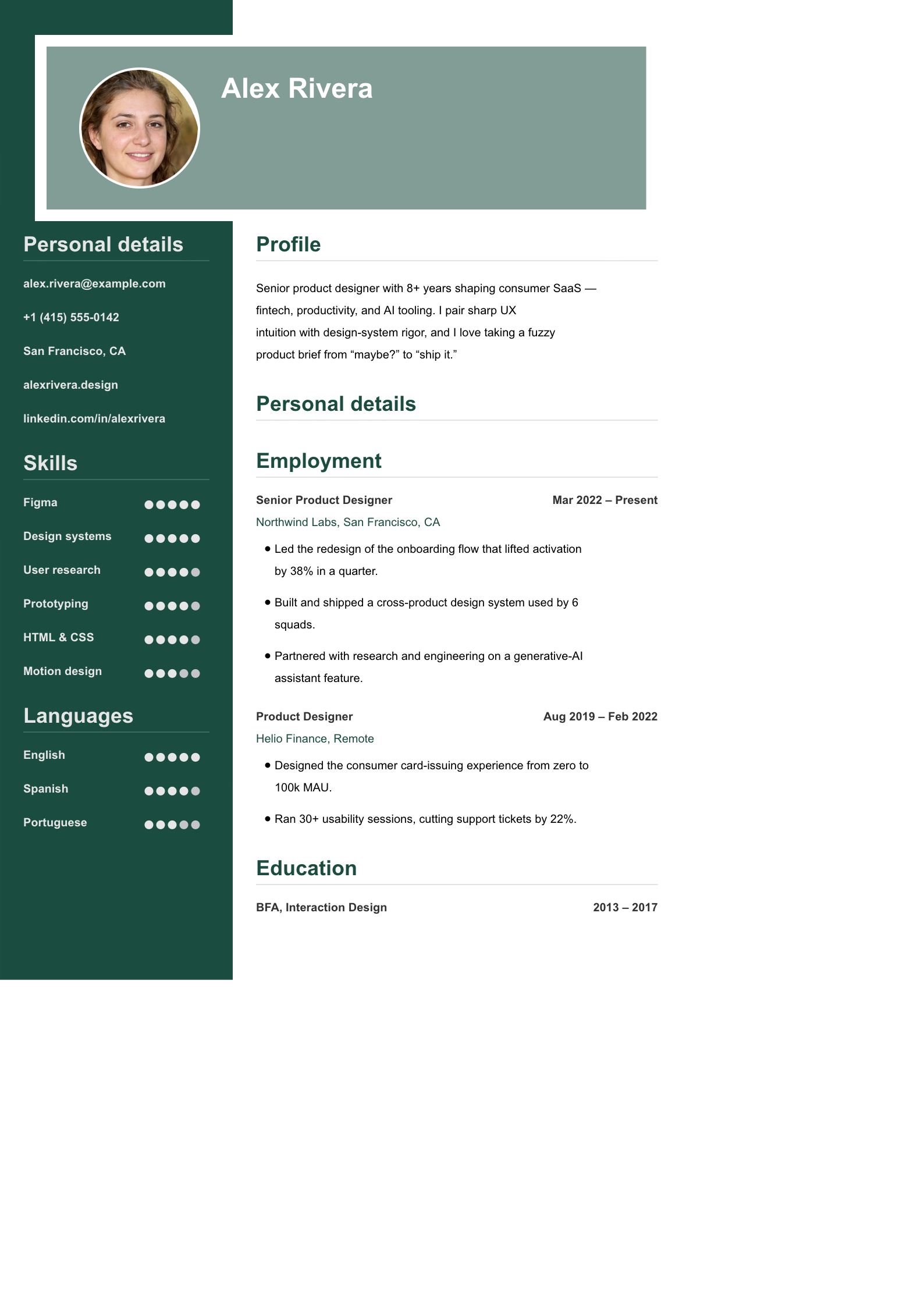 Elegant resume template preview