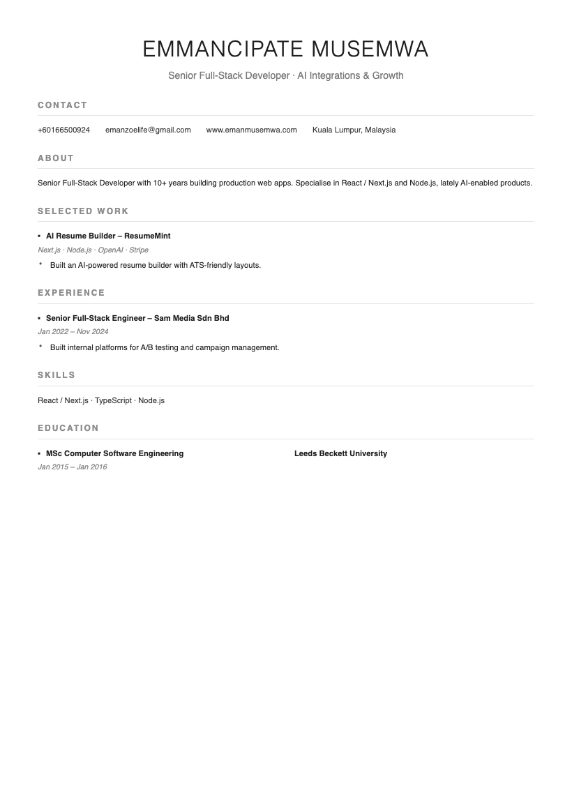 Professional resume template preview